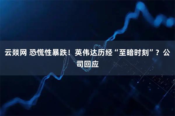 云燚网 恐慌性暴跌！英伟达历经“至暗时刻”？公司回应