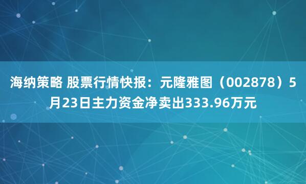 海纳策略 股票行情快报：元隆雅图（002878）5月23日主力资金净卖出333.96万元