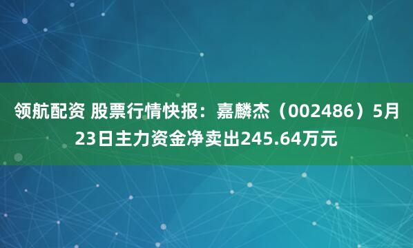领航配资 股票行情快报：嘉麟杰（002486）5月23日主力资金净卖出245.64万元