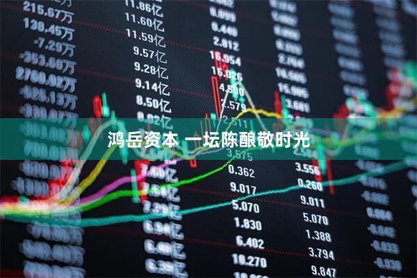 鸿岳资本 一坛陈酿敬时光