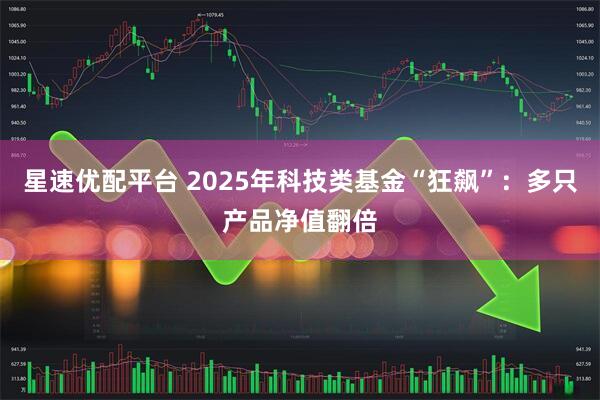 星速优配平台 2025年科技类基金“狂飙”：多只产品净值翻倍