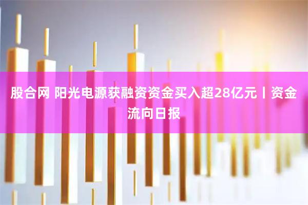 股合网 阳光电源获融资资金买入超28亿元丨资金流向日报